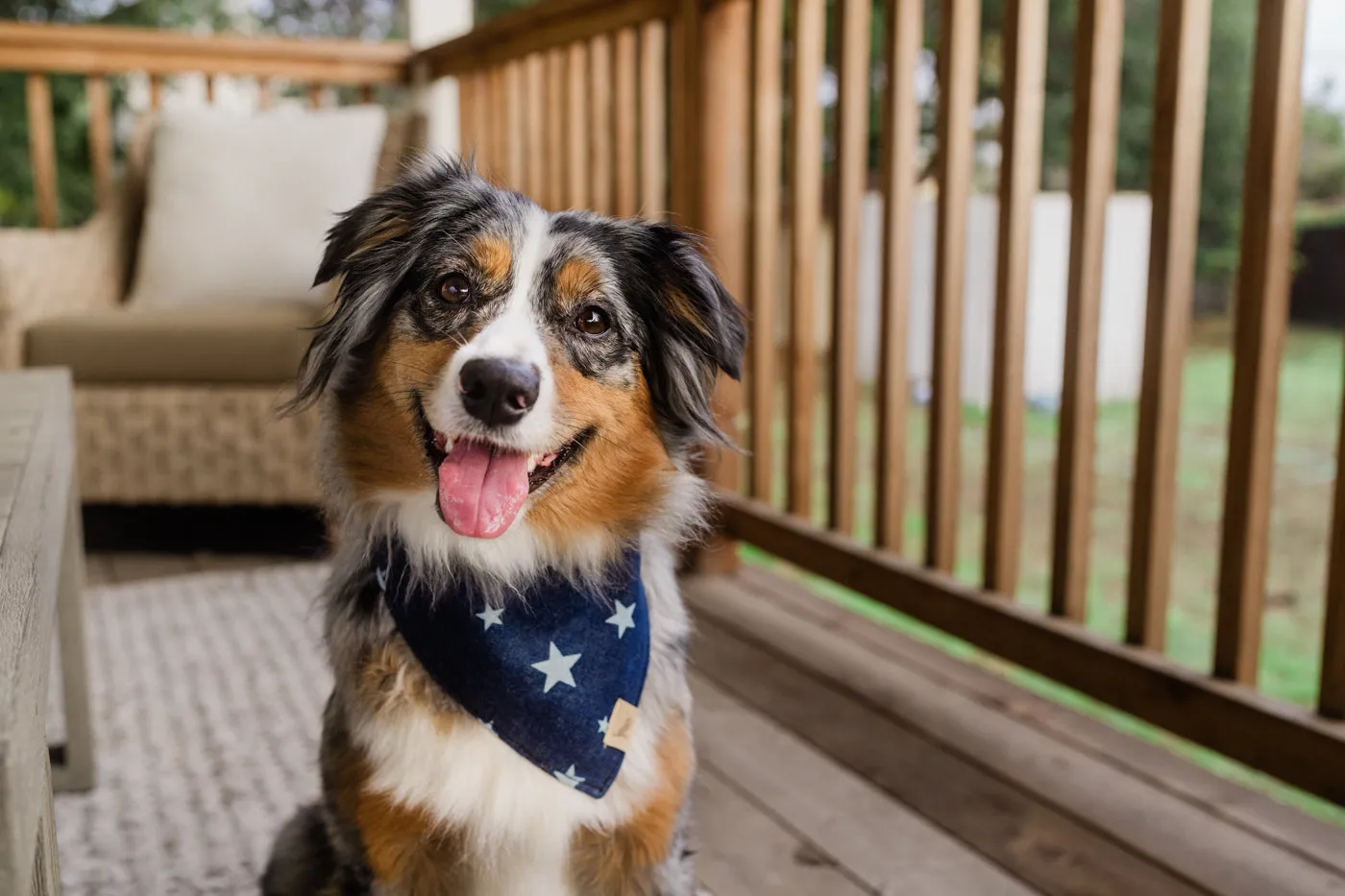 Doggy Duo Bandana - The Rockstar